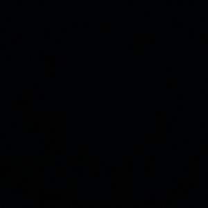 Felix_rie