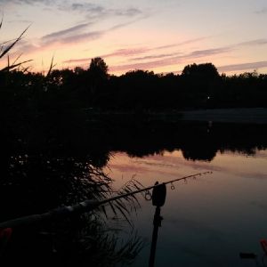 Profilbild