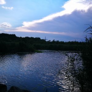 Profilbild