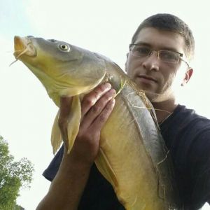 Profilbild