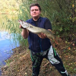 Profilbild