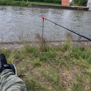 Profilbild