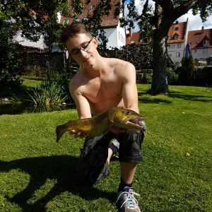 Profilbild