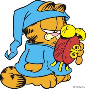 Profilbild