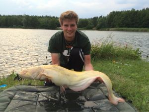 Profilbild