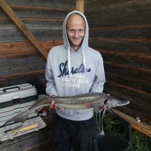 Profilbild