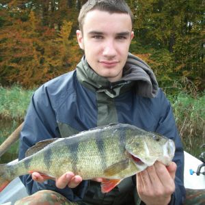 Profilbild