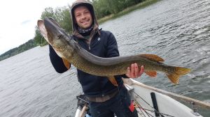 Stetter89