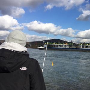 Profilbild