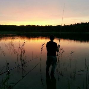 Profilbild