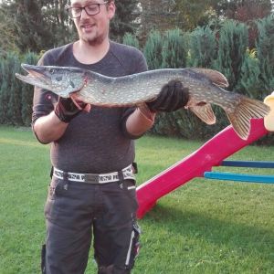 Harzangler