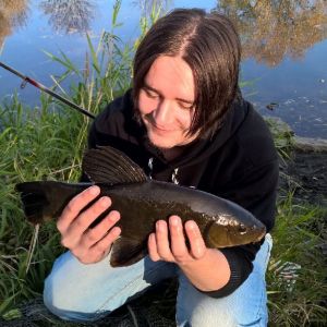 Profilbild