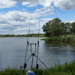 Sny1505