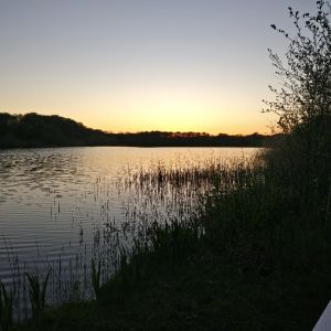 last_light