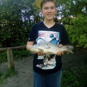 Profilbild
