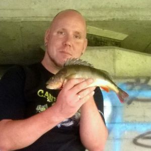 Profilbild