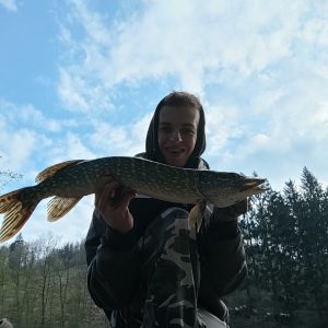 Profilbild