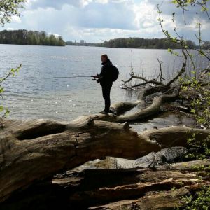 Profilbild