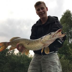 Profilbild