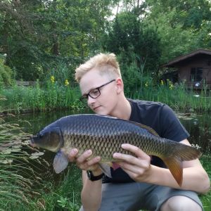 Profilbild