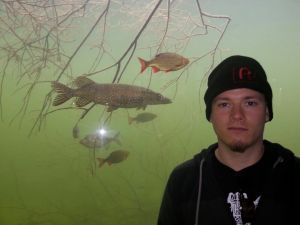 Profilbild
