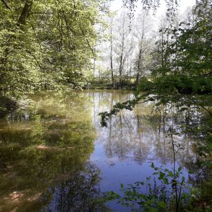 Kochtopfangler