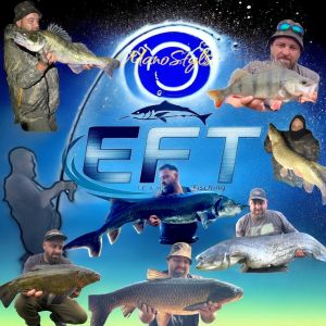 Mano-EFT-Team