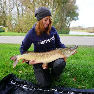 Ich wäre jetzt bereit für Fisch