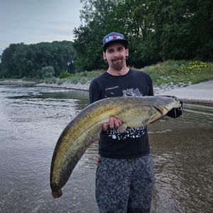 Rockabilly_Angler