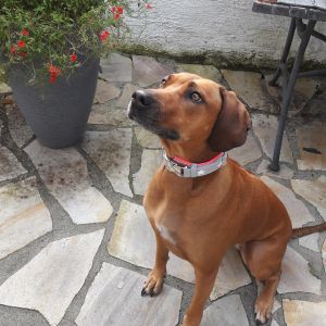 Profilbild
