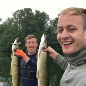 Profilbild
