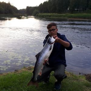 Profilbild