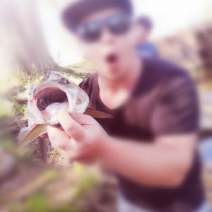 Profilbild