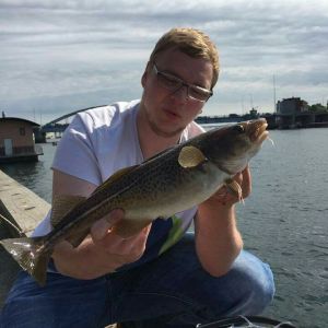 Profilbild