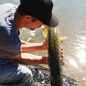 Esox82
