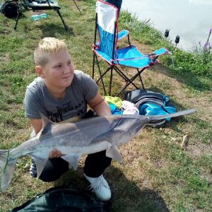 Alexander Balakschi1