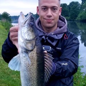 Colin-Ol-Zanderstock