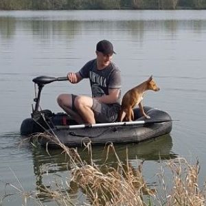 Profilbild
