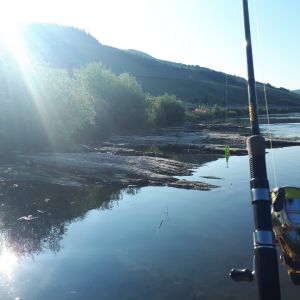 Fisch-Jäger