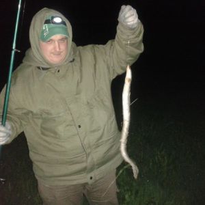 Esox_86
