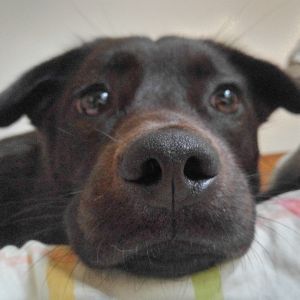 Profilbild