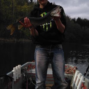 Profilbild