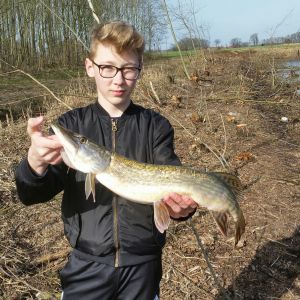 Profilbild