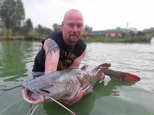 Fisch Kock