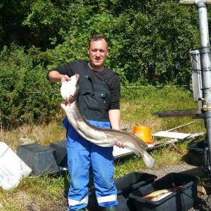 Profilbild
