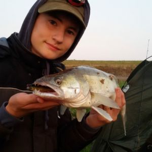 Profilbild