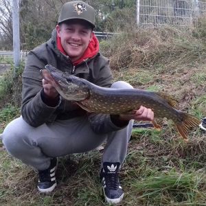 Profilbild