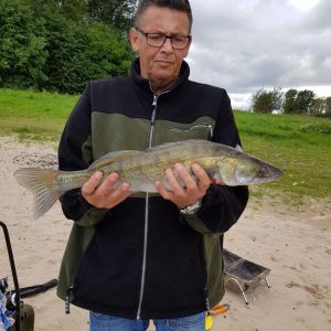 Profilbild