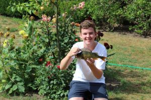 Profilbild