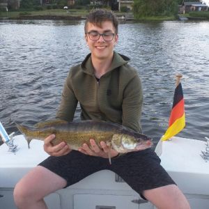 Profilbild